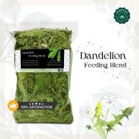 ราคา Exotic Essentials Dandelion ใบแดนดิไลออน *ใบสวยและใหญ่* สำหรับกระต่าย แกสบี้ ชินชิล่า แพรรีด็อก (26805824350)