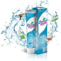 ราคา ยาสีฟันสมุนไพร เดนตาเมท Dentamate 40กรัม (4936986208)