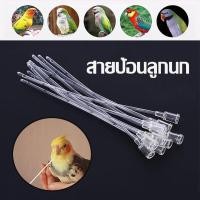 ราคา สายป้อน สายป้อนอาหารลูกนก สายให้อาหารนก ลูกนก นกแก้ว ฟอพัส หงษ์หยก เลิฟเบิร์ด ค๊อกคาเทล กรีนชีค หัวเขียว หัวใส 2 ชิ้น (20686935598)