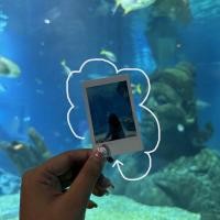 ราคา ปริ้นท์รูปฟิล์มแท้ อัดรูปฟิล์ม Fuji Film ️ ของขวัญวันปัจฉิม ของขวัญวันครบรอบ (44455060844)