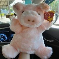 ราคา ตุ๊กตา สวมมือ Pig แบรนด์ Anee Park ขนาด 12" (7208059586)