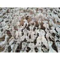 ราคา หมึกสายแดดเดียว สูตรชาวเล ส่งตรงจากชายเล สดๆใหม่ๆทุกวัน (4622638866)