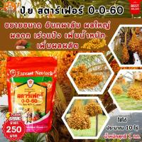 ราคา อินทผาลัม ผลใหญ่ ขยายขนาดผล ผลดก เพิ่มรสชาติ อินทผาลัม ด้วย ปุ๋ยสตาร์เฟอร์ 0-0-60 : ตัวช่วยเพิ่มผลผลิตและคุณภาพ (24668960934)