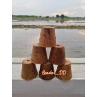 ราคา กระถางใยมะพร้าว2นิ้ว(กลม) แพ๊ค6ชิ้น (7551769237)