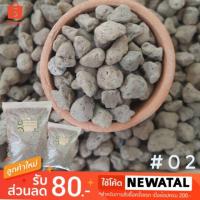 ราคา หินภูเขาไฟ เบอร์02 หินปลูกกระบองเพชร (599732180)