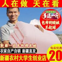 ราคา ผ้าฝ้ายแท้หนา Xinjiang ที่นอนผ้าฝ้ายผ้านวมดอกไม้อุ่นผ้านวมผ้านวมผ้าฝ้ายผ้านวมฤดูหนาวผ้านวม Core ผ้าฝ้ายผ้าฝ้ายผ้าฝ้ายยาง P66D YKCB (53103417524)