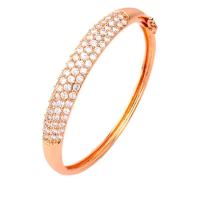 ราคา TANITTgems กำไลข้อมือนากประดับเพชรสุดหรู  #762 (453203024)