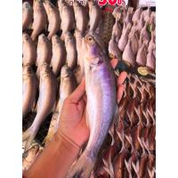 ราคา ปลากุเลาแดดเดียวไซส์6ตัวโล (40066816651)