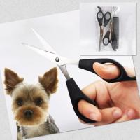 ราคา ชุดกรรไกรตัดผม หวี กรรไกรตัดผม กรรไกรซอยผม ชุดละ 3 ชิ้น เกรดพรีเมี่ยม วัสดุคุณภาพดี คมและทนทาน (22166139144)