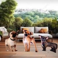 ราคา สินค้าพร้อมส่งในไทย หมาชิวาว่า หมอนหมาชิวาว่า หมอนหมา3มิติ (19611377488)