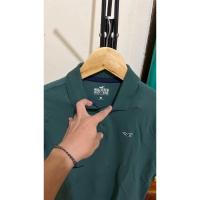 ราคา เสื้อโปโล HOLLISTER ของแท้ (41677176324)