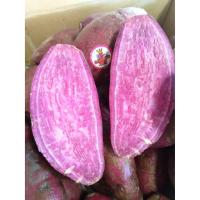 ราคา มันม่วงญี่ปุ่น-B 5 กก. มันหวานญี่ปุ่น(สีม่วง) - Japanese Purple Sweet Potato. (พันธุ์แท้ ปลูกในไทย) (4635573107)