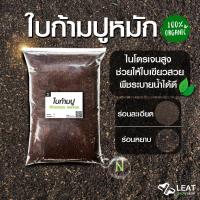ราคา ใบก้ามปูหมัก ดินใบก้ามปู ร่อนหยาบ ร่อนละเอียด ไนโตรเจนสูง ใบสวย ระบายน้ำดี (24536439230)