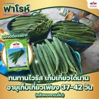 ราคา เมล็ดพันธุ์บวบเหลี่ยม F1 ฟาโรห์ ตราศรแดง กรัม East-West Seed เมล็ดบวบเหลี่ยม เมล็ดพันธุ์ผัก (26518066673)