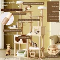 ราคา ไม้แมวคอนโดแมว สูง215CM ไม้สวยไร้เหลี่ยมคม คอนโดแมวไม้ condoแมว คอนโดต้นไม้แมว คอนโดแมวไม้จริง ที่นอนแมว (52450091435)