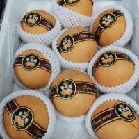 ราคา สาลี่หิมะดำเกาหลี เบอร์ 6-9 ราคา 499 บาท (5334837412)