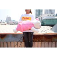ราคา นุ่มนิ่ม หมอนข้าง ตัว Kitty คิตตี้ & Bad BadtzMaru แบดแบด & Cinnamonroll & Pompompurin ปอมปอมปูริน ท่าหมอบ (28406571998)