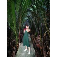 ราคา จั๊มสูท 5 ส่วน เขียวเข้ม(มือสอง)​ (6246182726)