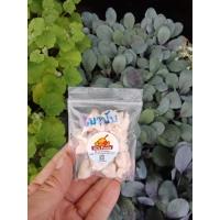 ราคา เมล็ดพันธุ์เบาบับ เนื้อผลเบาบับมีปริมาณวิตามินซีสูงกว่าส้ม 6 เท่ามีเส้นใยอาหารสูงต้านอนุมูลอิสระ1ซอง มี ประมาณ 10 เมล็ด (24012237542)