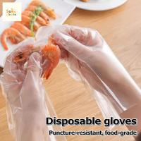 ราคา 1.2g ถุงมือทิ้งบ้านสุขอนามัยร้านอาหาร Catering (40354195033)