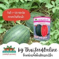 ราคา Advance Seeds(ตราตะวันต้นกล้า) ADV กป 40 กรัม เมล็ดพันธุ์ แตงโม กินรี C-29 40กรัม ตราตะวันต้นกล้า (26165996166)