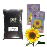 ราคา ชุดปลูกดอกไม้ เมล็ดทานตะวันสีเหลือง 2 ซอง พร้อมมูลไส้เดือน น้ำหนัก 1.0 กก.(พันธุ์ลูกผสม) (1792567681)