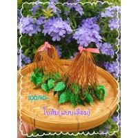 ราคา ใบส้ม อุปกรณ์ตกแต่งเหรียญโปรยทาน 100ชิ้น (20529782996)