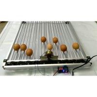 ราคา เมซิน ตู้ฟักไข่ ชั้นวางลูกกลิ้ง 100 ฟองความจุลูกกลิ้งและชั้นวางจับเวลา (19143001022)