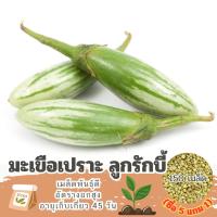 ราคา เมล็ดมะเขือเปราะ ลูกรักบี้ แบ่งขาย 150 เมล็ด ซื้อ 5 แถม 1 (คละชนิดได้) (27154167452)