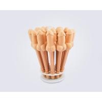 ราคา พร้อมส่ง > ปากกาทะลึ่ง ราคา/แท่ง (130397238)