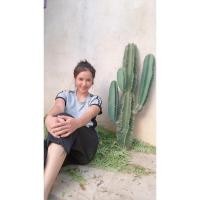 ราคา กระบองเพชรคอนโดนางฟ้ายักษ์30฿ (5379407420)