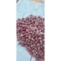 ราคา หัวหอมแดงพร้อมปลูกศรีสะเกษ 1 กิโลกรัม (41773723578)