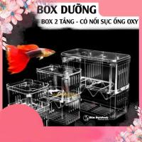 ราคา กล่องกุ้งอะคริลิค | กรงเพาะพันธุ์กุ้งเด็ก | กรงแยกกุ้งตู้ปลา .น้ํา (46354474019)