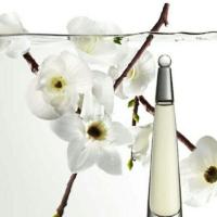 ราคา Issey Miyake L'Eau d'Issey Eau de Toilette Spray 100ml (95635927)