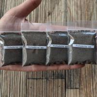 ราคา ไตรโคเดอร์ม่า(แบบแห้ง) เพาะเชื้อจากข้าวหอมมะลิอินทรีย์ (สำหรับใช้เพาะเชื้อต่อหรือผสมน้ำใช้ได้เลย) ขนาด 10 กรัม ล๊อตใหม่ (7415179989)