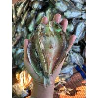 ราคา ปลาแห้ง ปลาแดดเดียว ปลาตากแห้ง ปลาเขื่อนอุบลรัตน์ ปลาขาว ปลาขาวสร้อย อาหาร (28302888716)