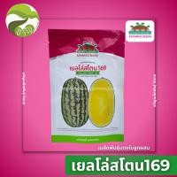 ราคา เมล็ดพันธุ์ แตงโม ลูกผสม เยลโล่สโตน 169 แตงโมเหลือง ตรา ตะวันต้นกล้า 40 กรัม (53700346437)