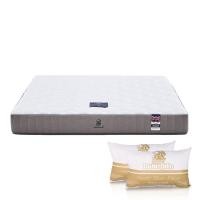 ราคา SB Design Square ที่นอน Dunlopillo รุ่น Dudley ขนาด 5 ฟุต พร้อมหมอนหนุน 2 ใบ (22886457760)