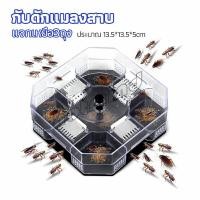 ราคา HD ที่ดักแมลงสาบ ที่ดักแมลงสาบ กล่องดักแมลงสาบ cockroach trap (16282475746)