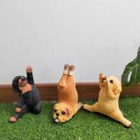 ราคา หมา หมาเรซิ่น ตุ๊กตาหมา แต่งสวน มีหลายท่า ตุ๊กตาหมา โกลเด้น ร็อตไวเลอร์ ปั๊ก แต่งบ้าน แข็งแรงทนทาน (23764703447)