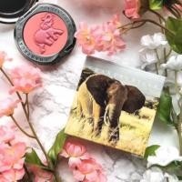 ราคา Chantecaille Limited Edition Pride Cheek (139146533)