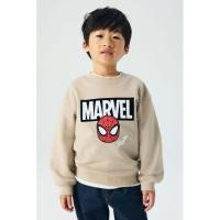 ราคา H&M(เอชแอนด์เอ็ม) เสื้อสเวตเตอร์พิมพ์ลาย Boys Printed sweatshirt 1313580_4 (45400783019)