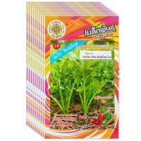 ราคา เมล็ดพันธุ์ ผักกาดเขียวน้อย พันธุ์ใบสร้อย สี่ทิศ ขายส่ง ยกห่อ (1 ห่อ บรรจุ 10 ซอง) (43508961549)