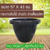 ราคา กระถางขนาดใหญ่ กระถางใหญ่ กระถางต้นไม้ ทรงโรมัน อ่างบัวพลาสติก (3862031576)