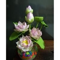 ราคา ดอกบัวจิ๋ว ดินญี่ปุ่น (code ส่วนลด อยู่หน้า page) (1801865806)