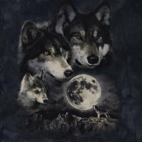 ราคา 2005 THE MOUNTAIN Wolf Pack Tie Dye (23135095805)