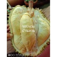 ราคา ทุเรียน อินทรีย์ ทุเรียนออร์แกนิค มีใบรับรองจากกรมวิชาการเกษตร (11434018543)