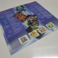 ราคา สแตมป์ชุดปีใหม่ 2543 สภาพใหม่ ไม่มีตำหนิ พร้อมส่ง (52654106939)