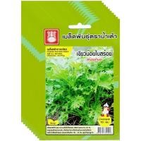 ราคา เมล็ดพันธุ์ผักกาดเขียวน้อยใบสร้อย สร้อยทิพย์ ตราน้ำเต้า ขายส่ง ยกห่อ (1 ห่อ บรรจุ 10 ซอง) (44653291669)