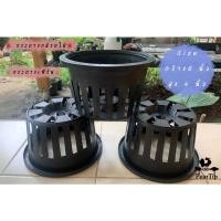 ราคา เฉลี่ยใบละ 7.5-8.5 บาท กระถางกล้วยไม้ ขนาด 6 นิ้ว กระถางเฟิร์น พลาสติก สีดำมีรูระบาย ขนาด 6 นิ้ว (9149197590)